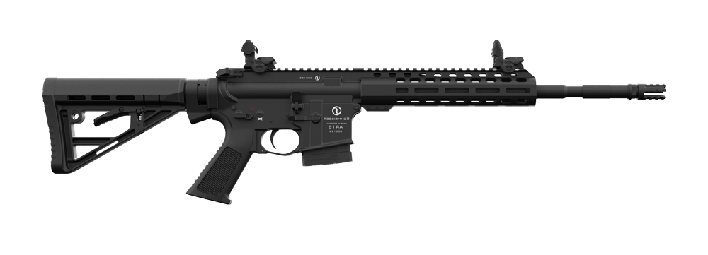 AR 15 (MKII)